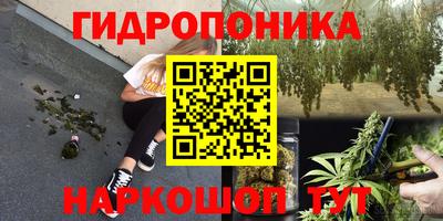 герыч Гатчина