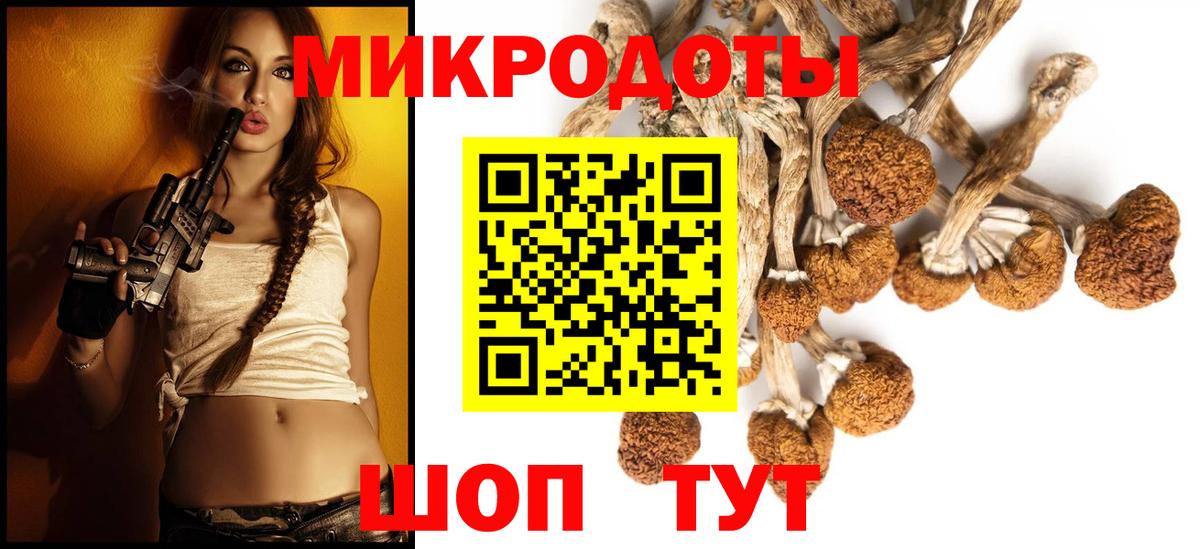 Заинск  Галлюциногенные грибы MAGIC MUSHROOMS  Вход с VPN 